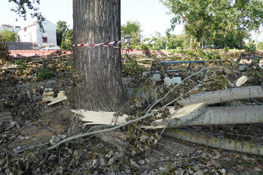 Similar image 21525352