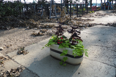 Similar image 21525353