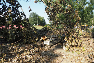 Similar image 21525354