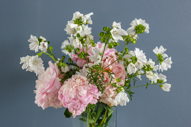 Similar image 21545820