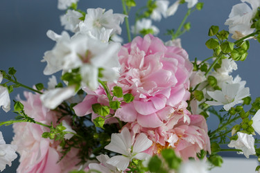 Similar image 21545821