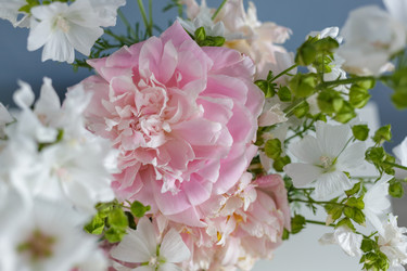 Similar image 21545822