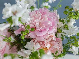 Similar image 21545823