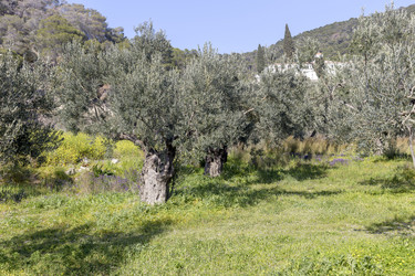 Similar image 21525014