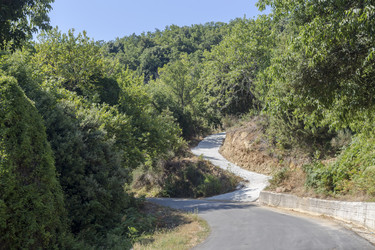 Similar image 21525025