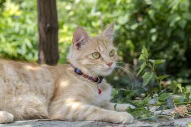 Similar image 21525026