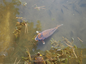 Similar image 21525493