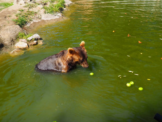 Similar image 21525498