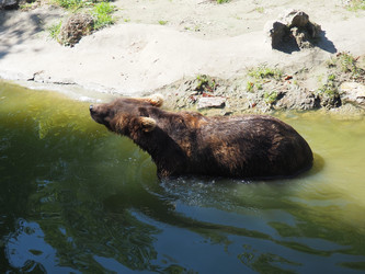 Similar image 21525499