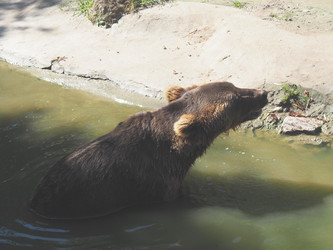 Similar image 21525500