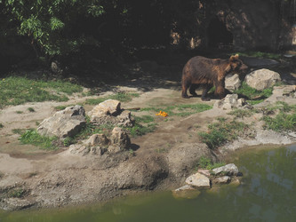 Similar image 21525501