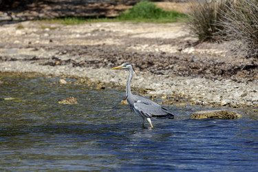 Similar image 21523946