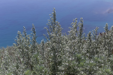 Similar image 21525030