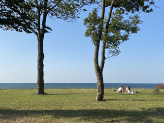 Similar image 21530105