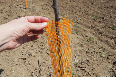 Similar image 21524219