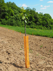 Similar image 21524221