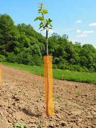 Similar image 21524223