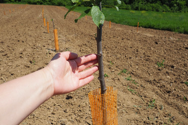 Similar image 21524224