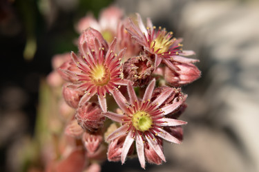 Similar image 21525064