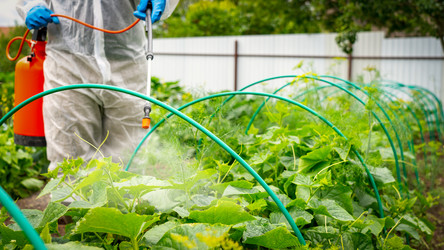 Similar image 21525904