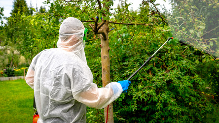 Similar image 21525905