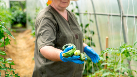 Similar image 21525906