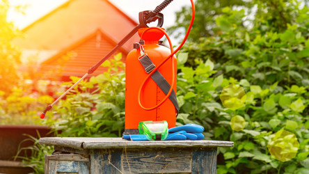 Similar image 21525908