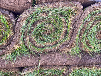 Similar image 21525910