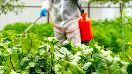 Similar image 21525911