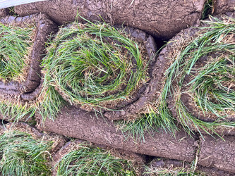 Similar image 21525912