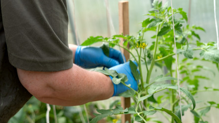 Similar image 21526104