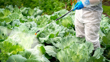 Similar image 21526105