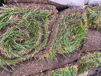 Similar image 21526107