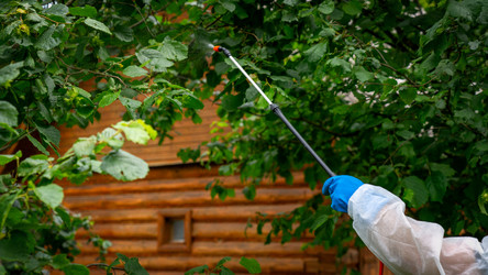 Similar image 21526108