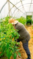 Similar image 21526109