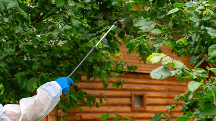 Similar image 21526110