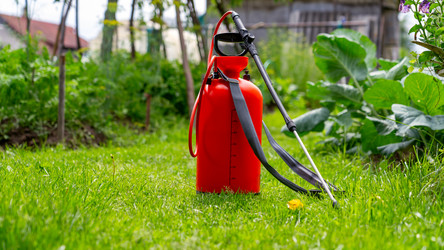 Similar image 21526111