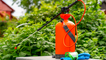 Similar image 21526115