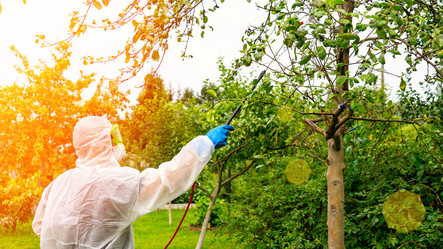 Similar image 21526116