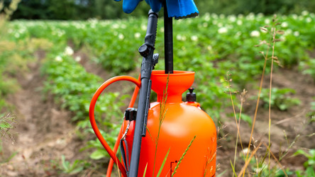 Similar image 21526118