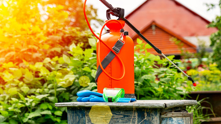 Similar image 21526120