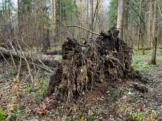 Similar image 21526121