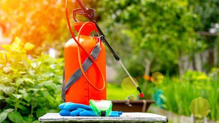 Similar image 21526122