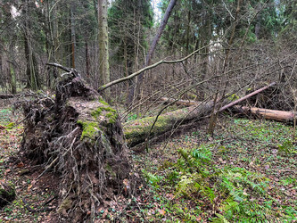 Similar image 21526123