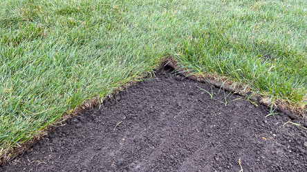 Similar image 21526129