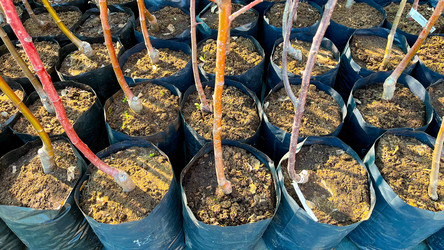 Similar image 21526130