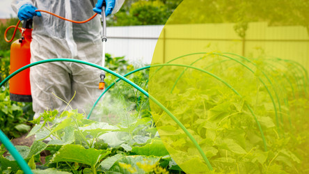 Similar image 21526132