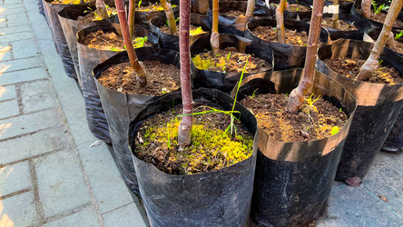 Similar image 21526133