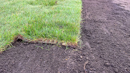 Similar image 21526134