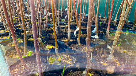 Similar image 21526135